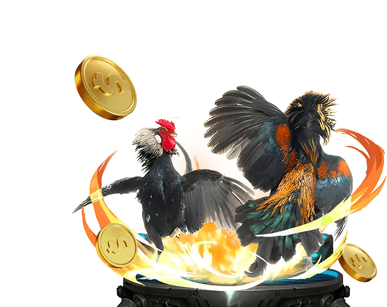 Đá gà trực tuyến 8s bet với hình ảnh hai chiến kê đang thi đấu