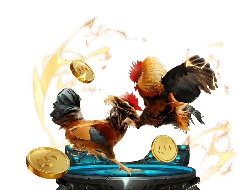 Đá gà trực tuyến 8s bet với trận đấu kịch tính