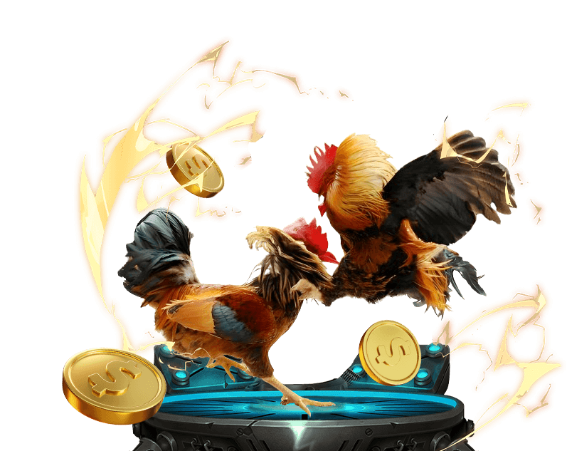 Đá gà trực tuyến 8s bet với những trận đấu mãn nhãn